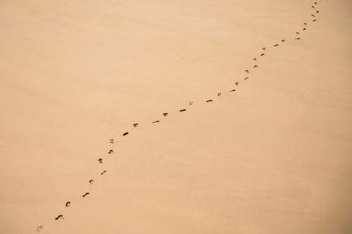 Der Abdruck - Ein Spaziergang am Strand